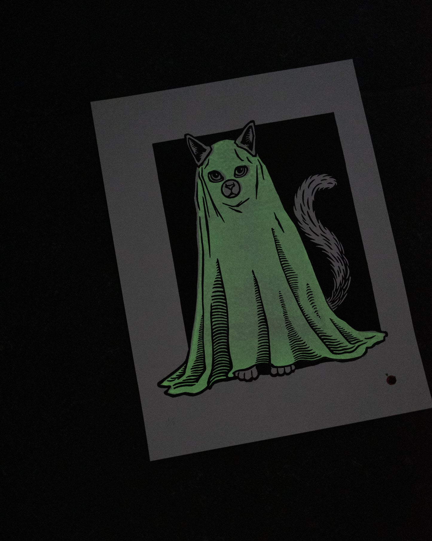 Spooky cat