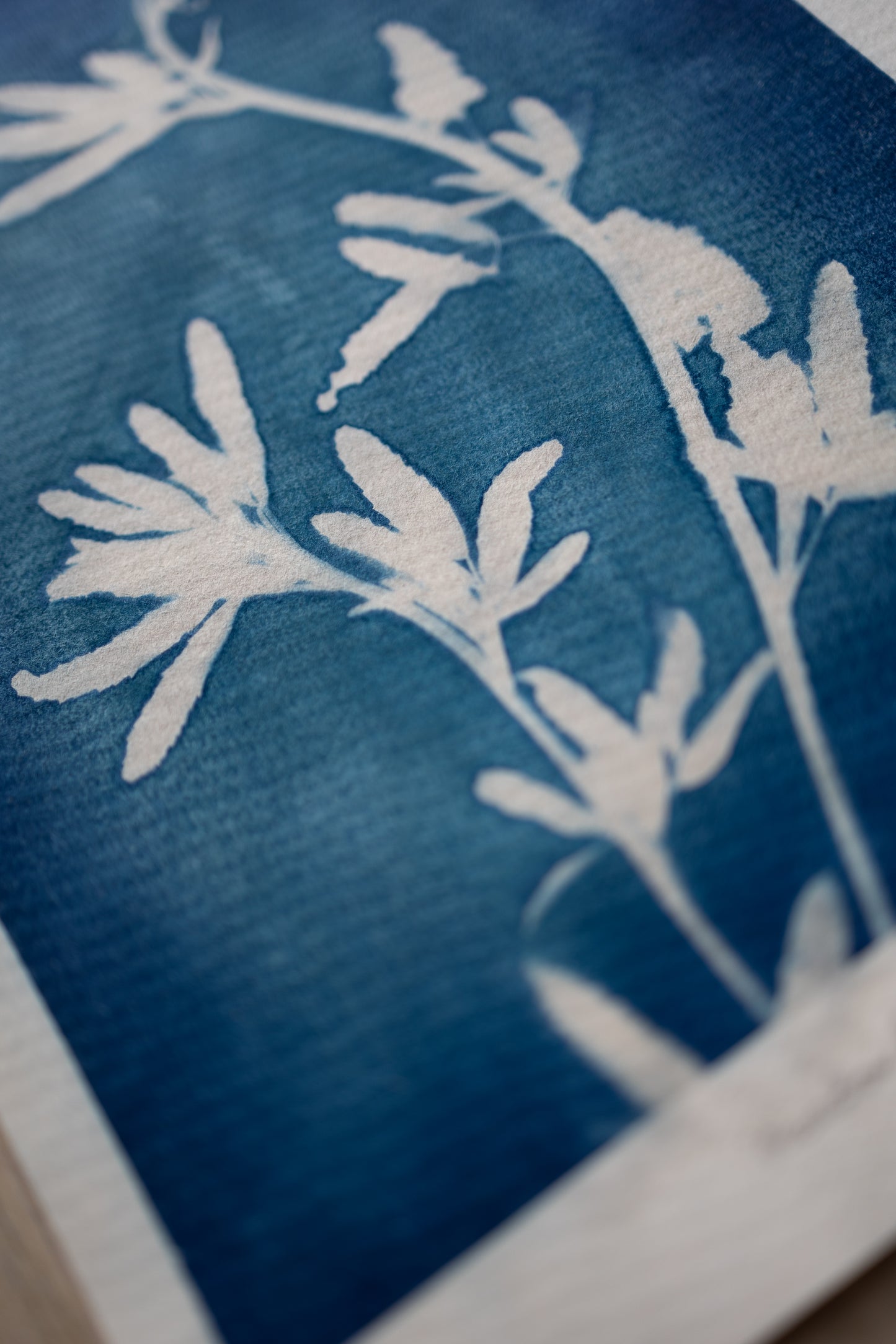 Meadow flower III