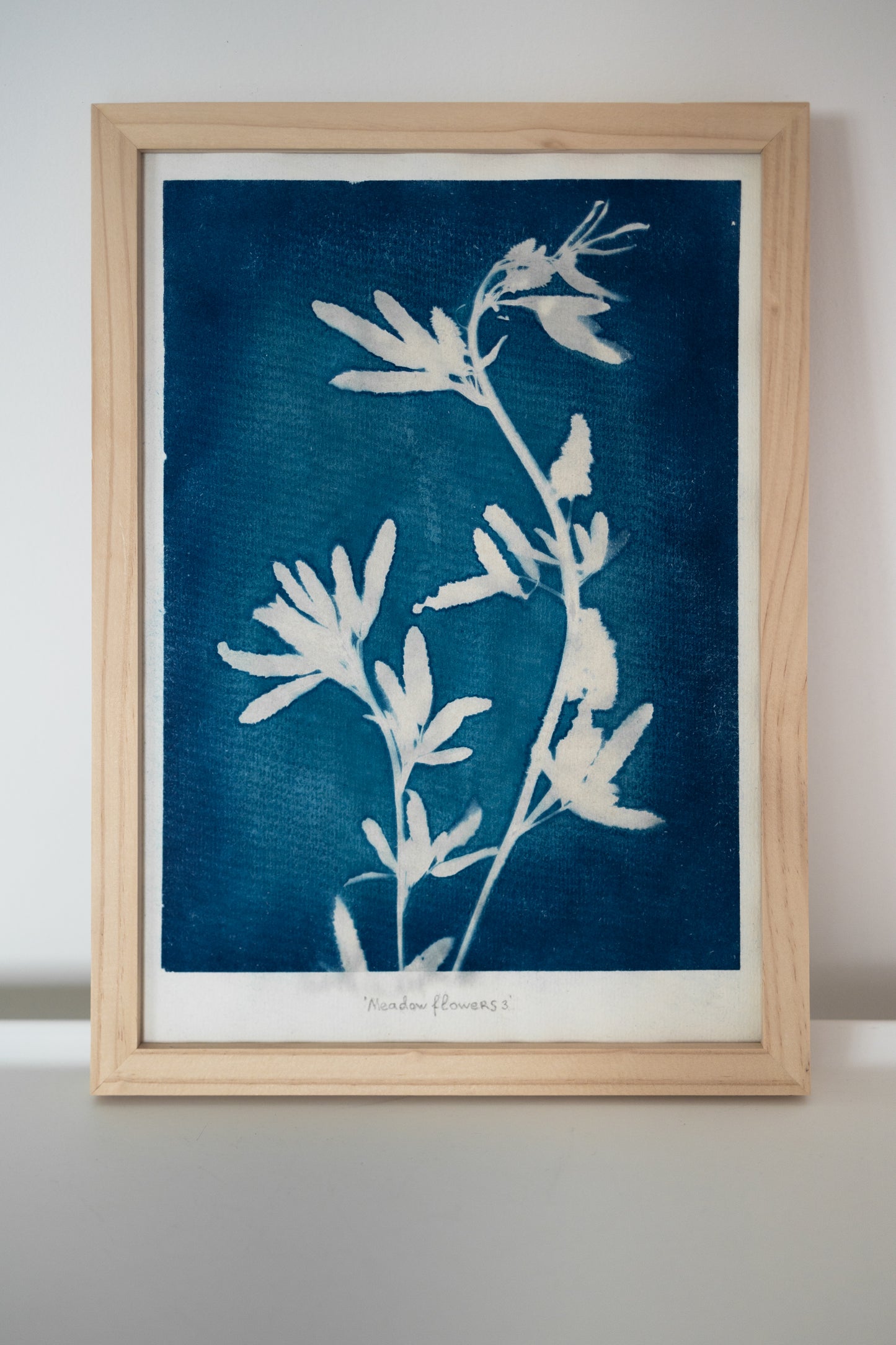 Meadow flower III