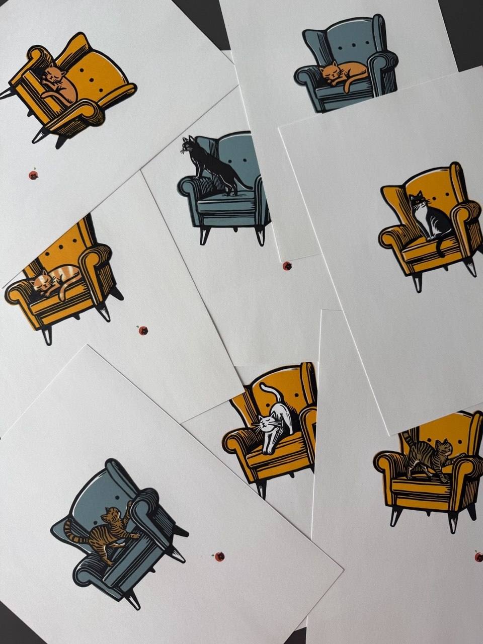Cat on a chair - Discounted