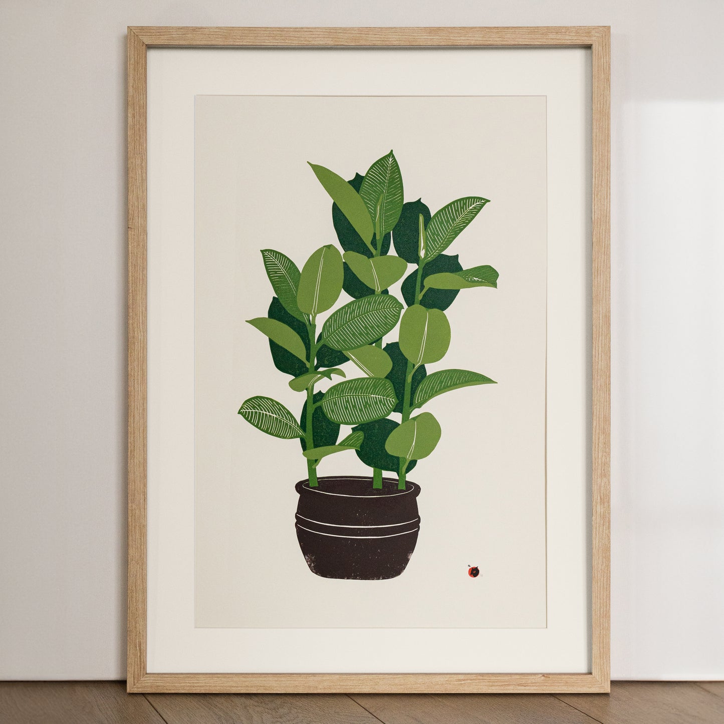 Ficus plant