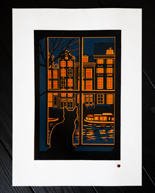 Cat looking out at Amsterdam street