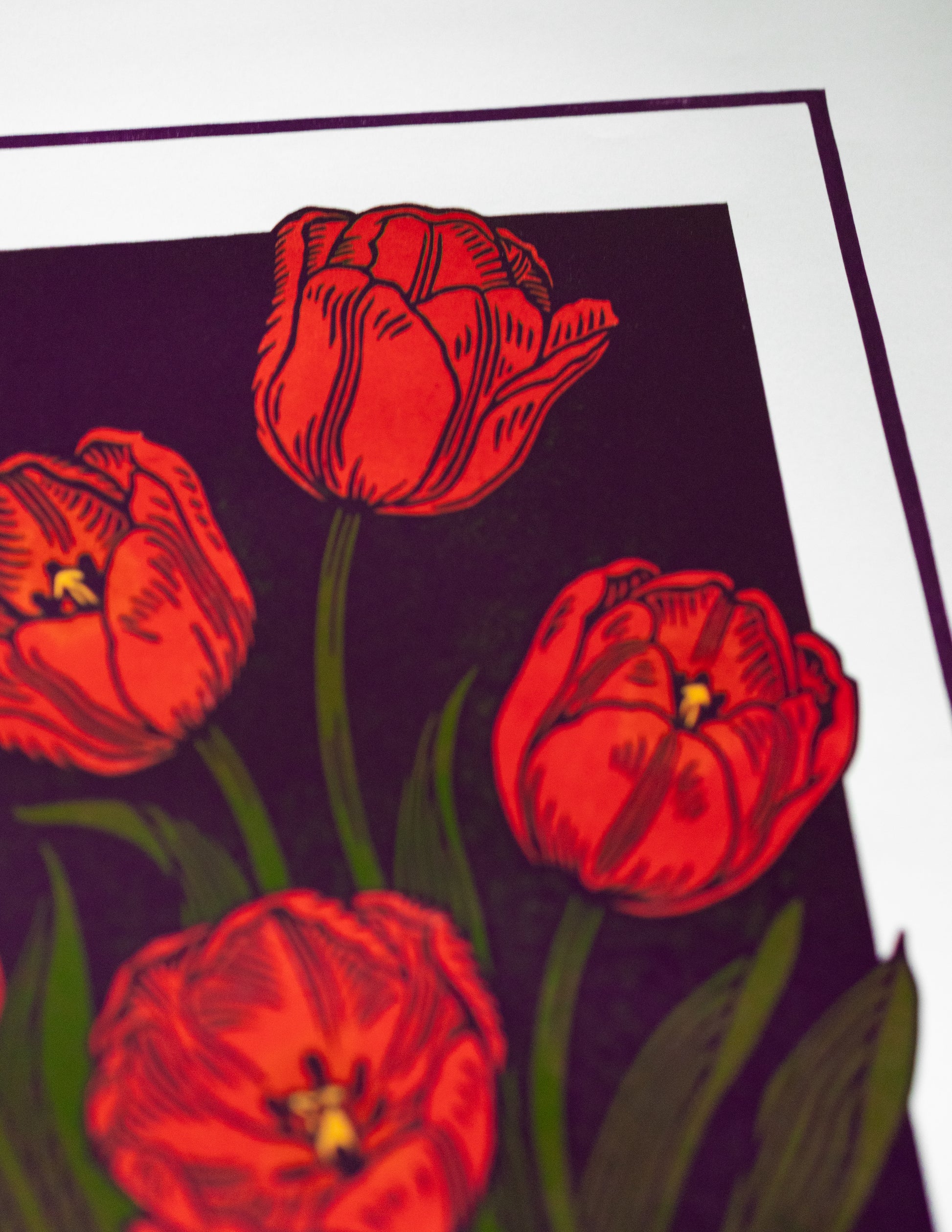 Red tulips linoprint on a dark background with a white border