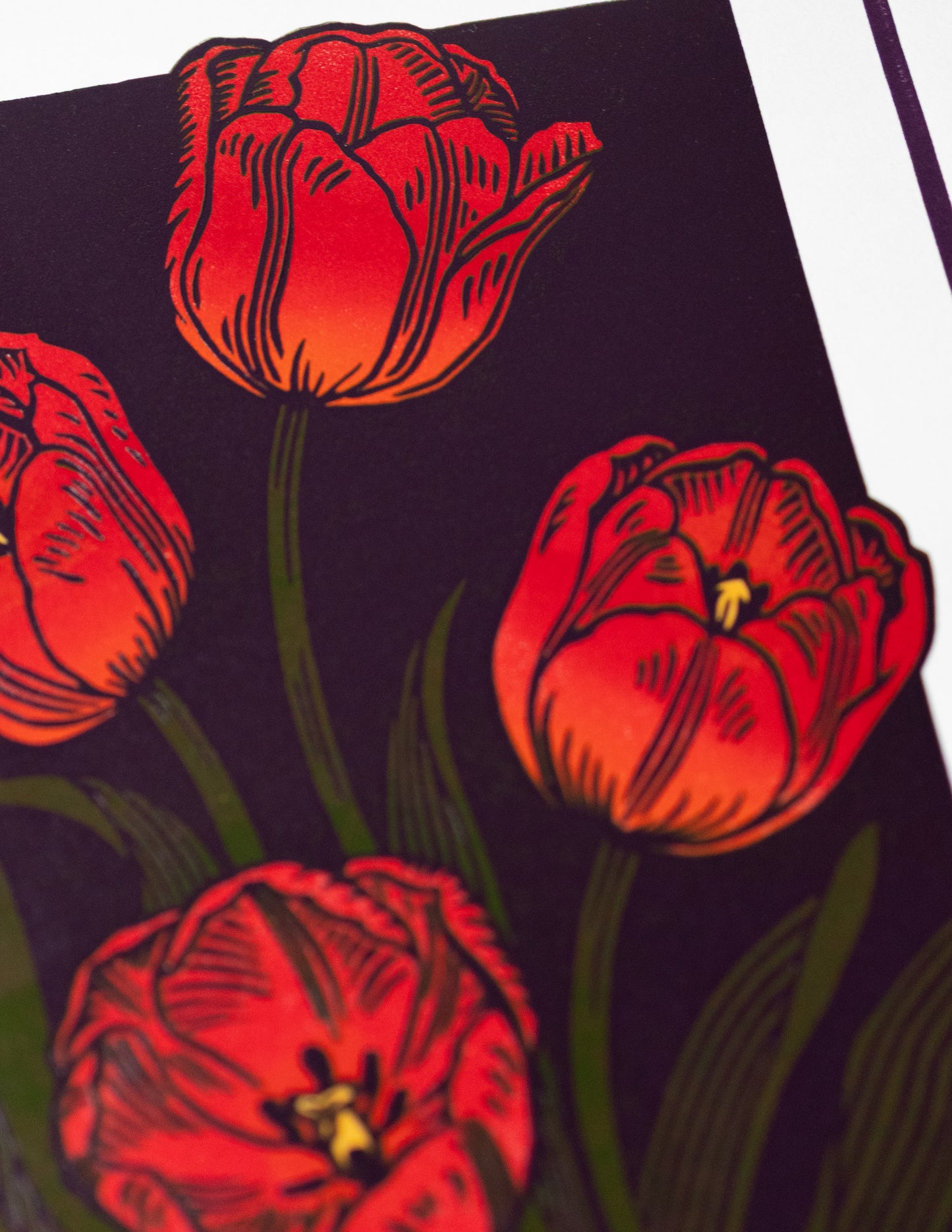 Red tulip tulip print on a dark background