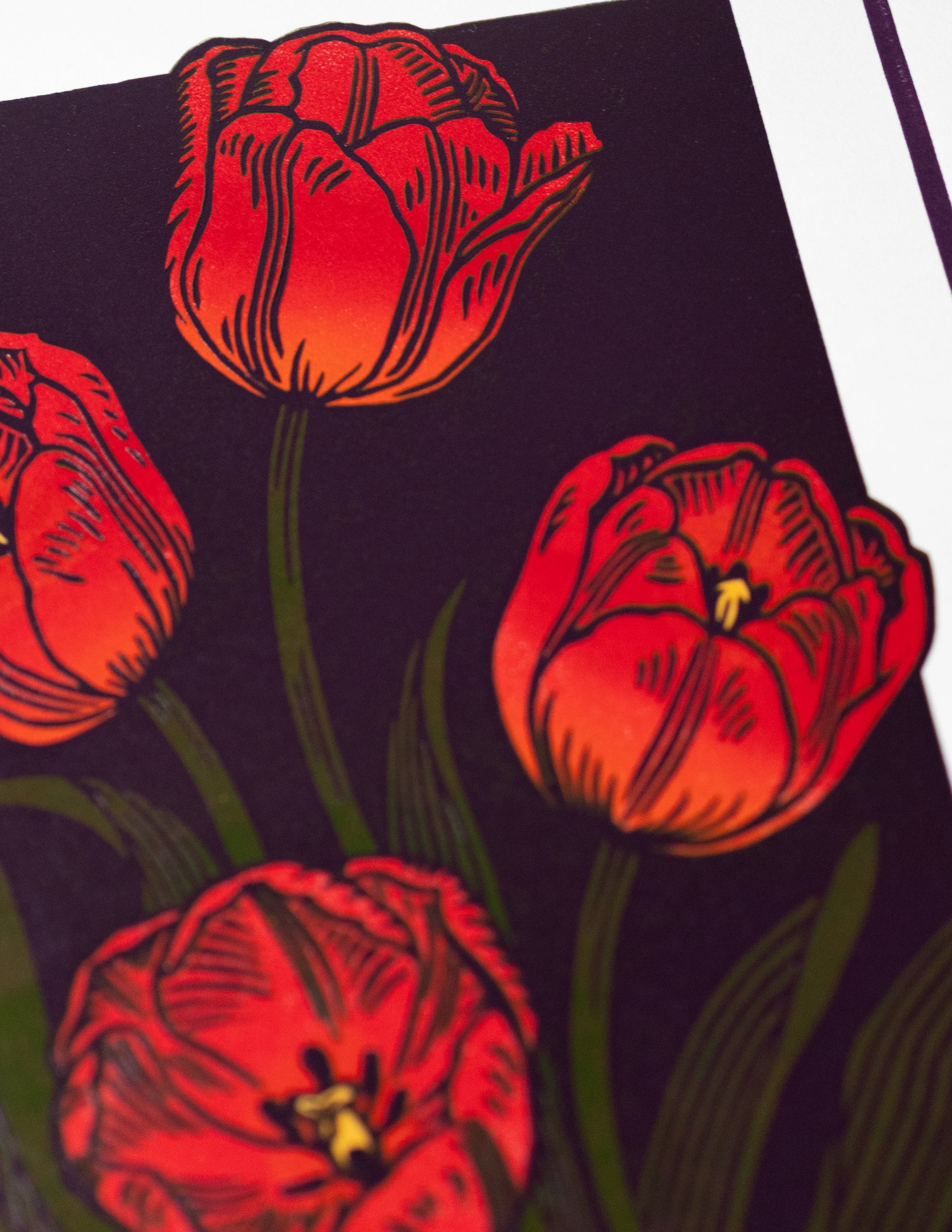 Red tulip tulip print on a dark background