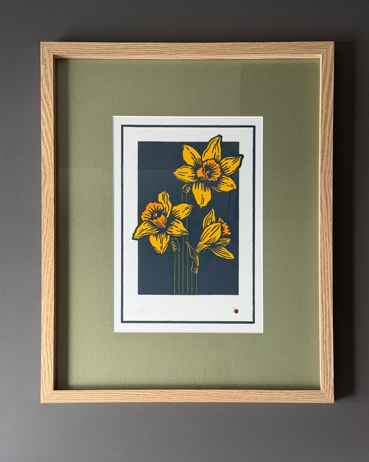 Daffodils