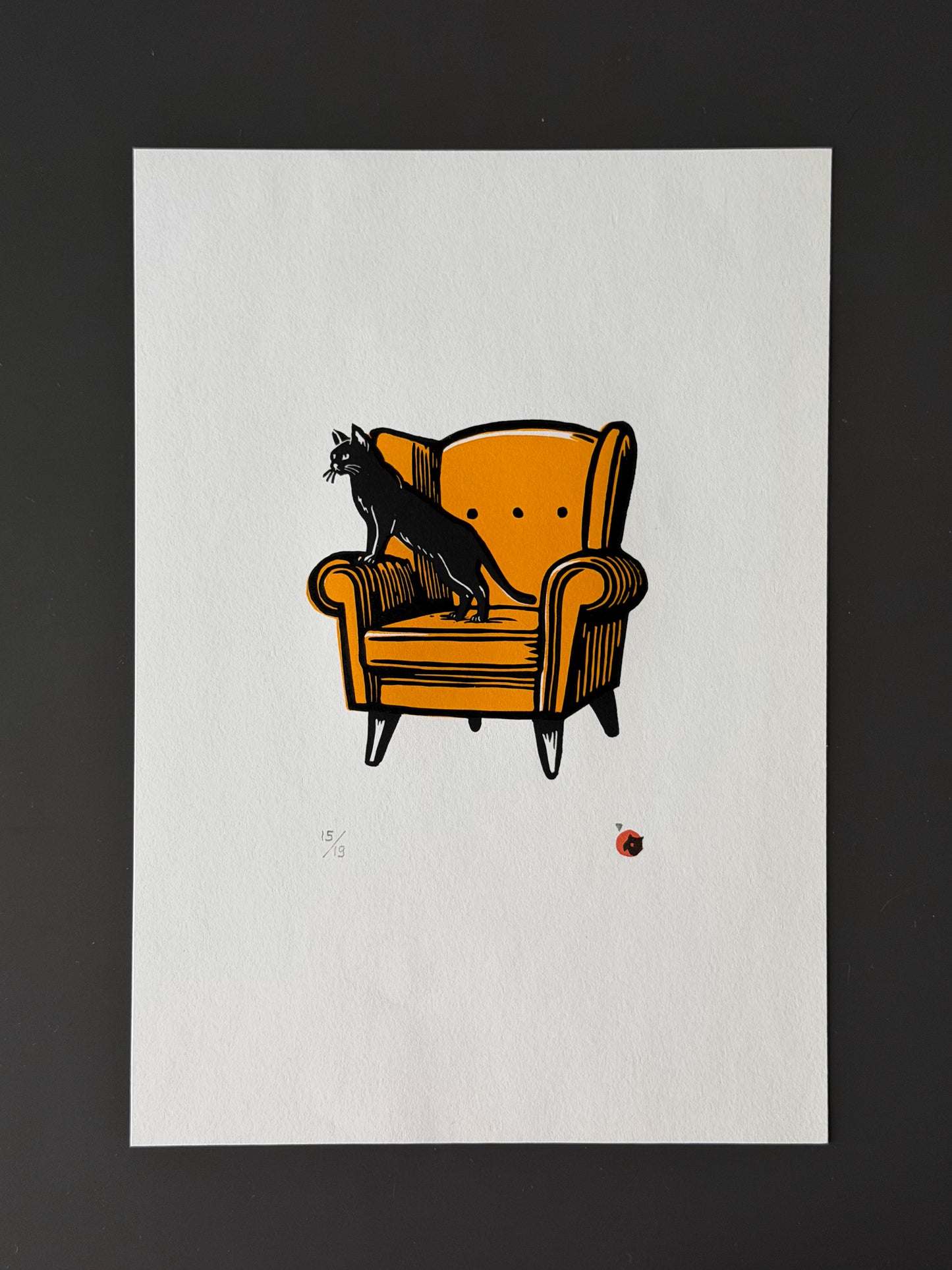 Cat on a chair