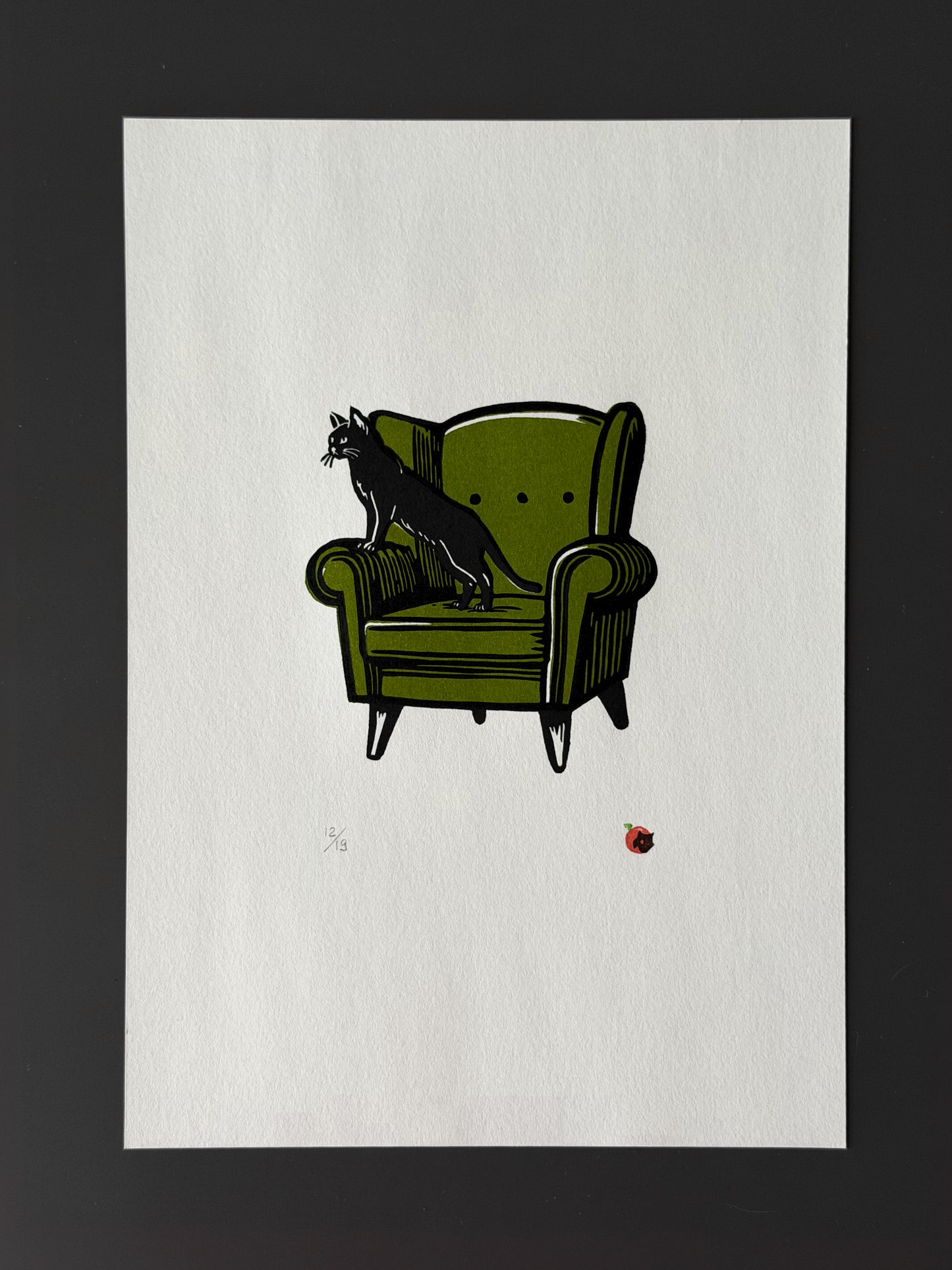 Cat on a chair
