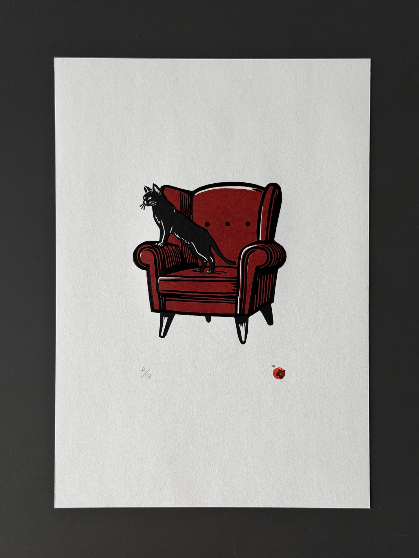 Cat on a chair