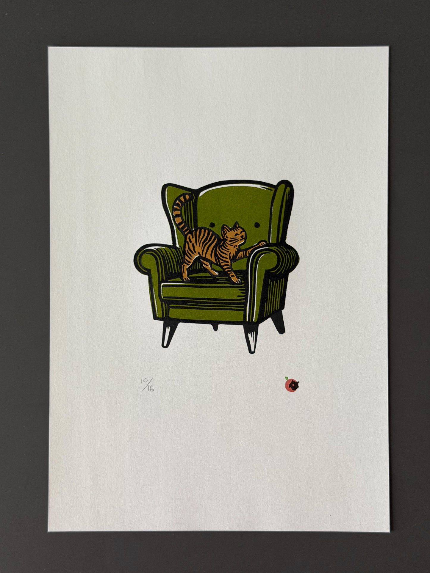 Cat on a chair