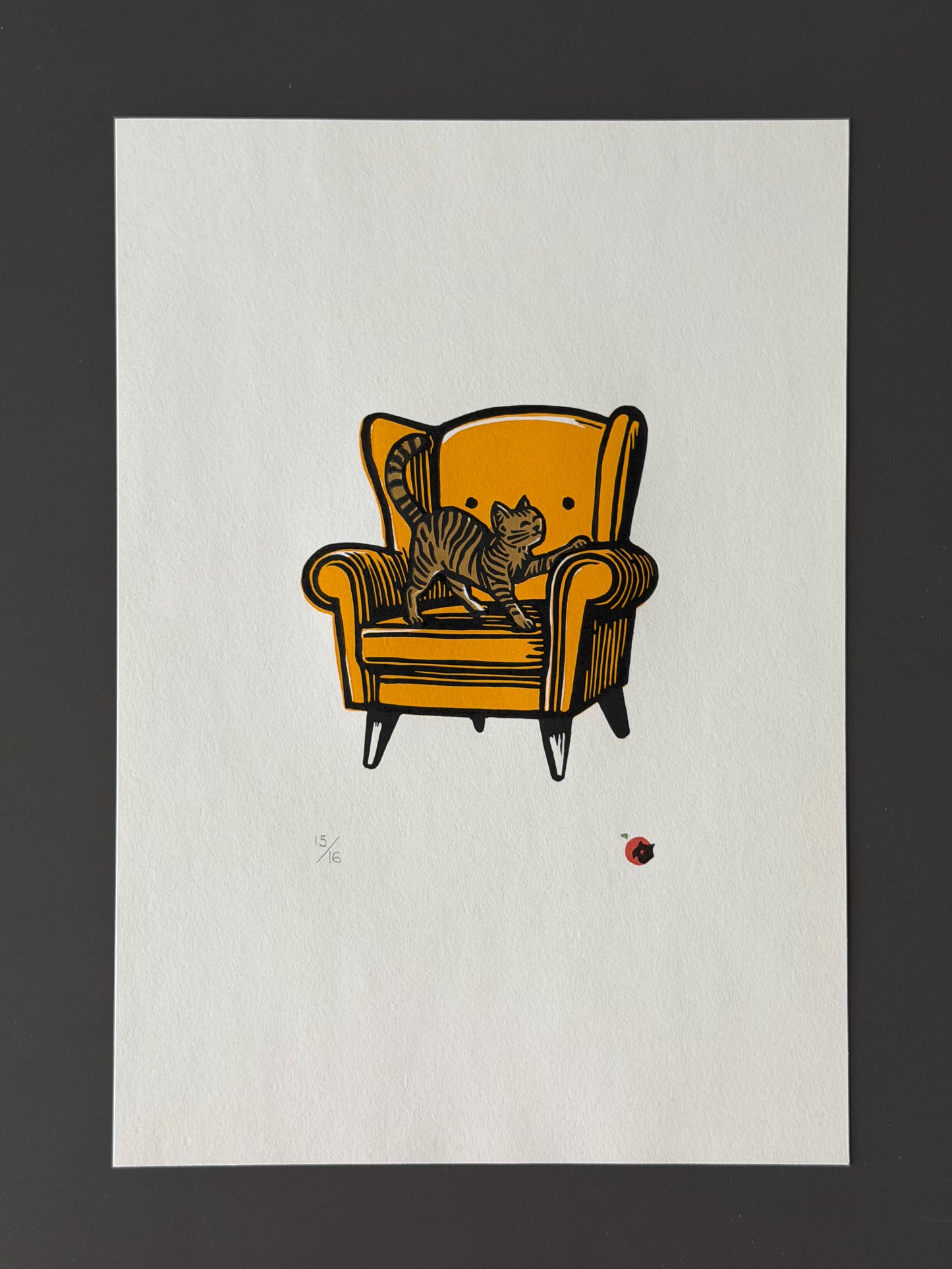 Cat on a chair