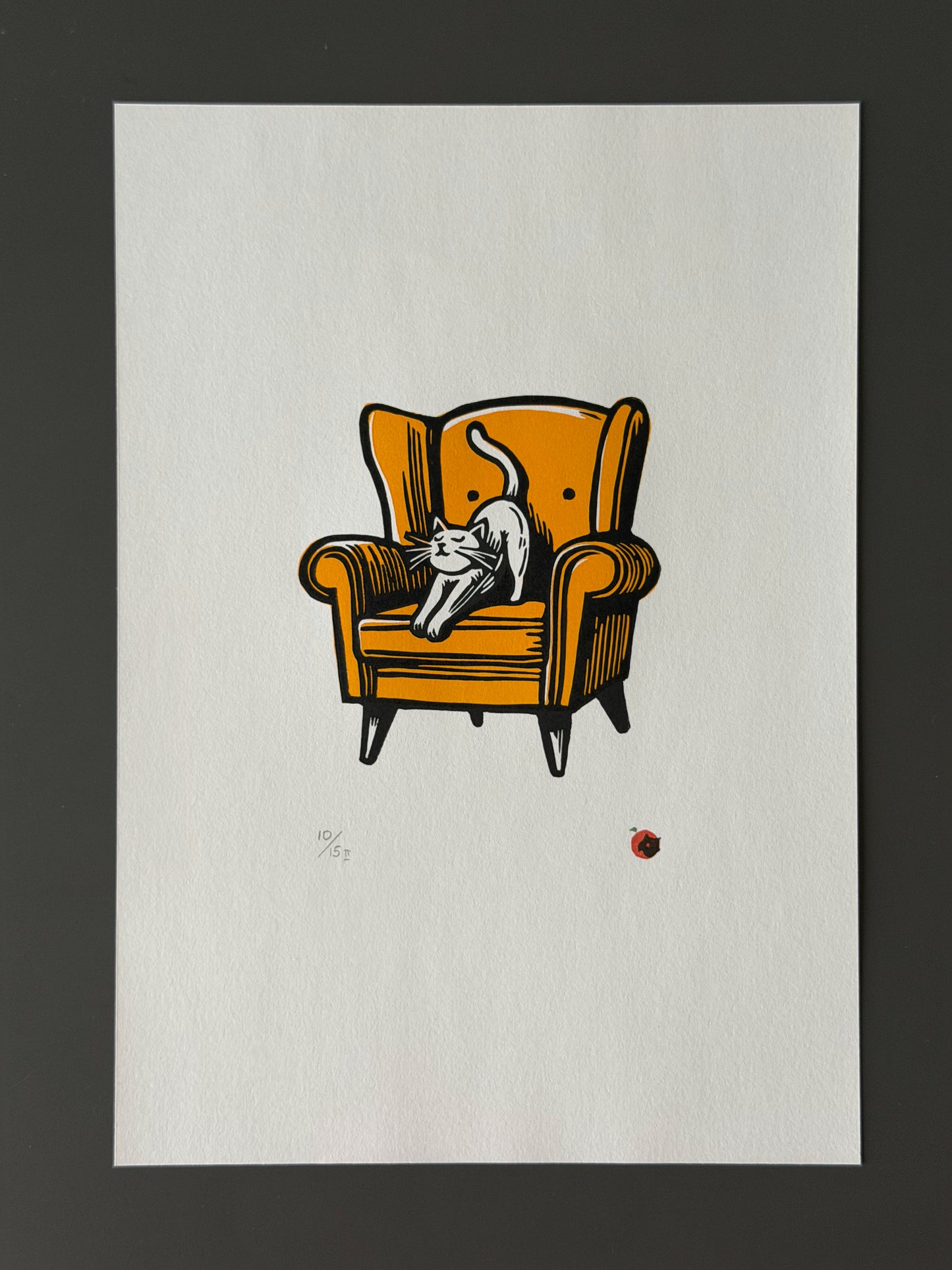 Cat on a chair