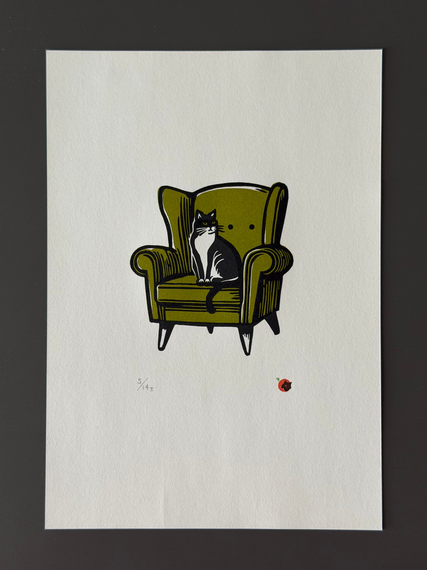 Cat on a chair