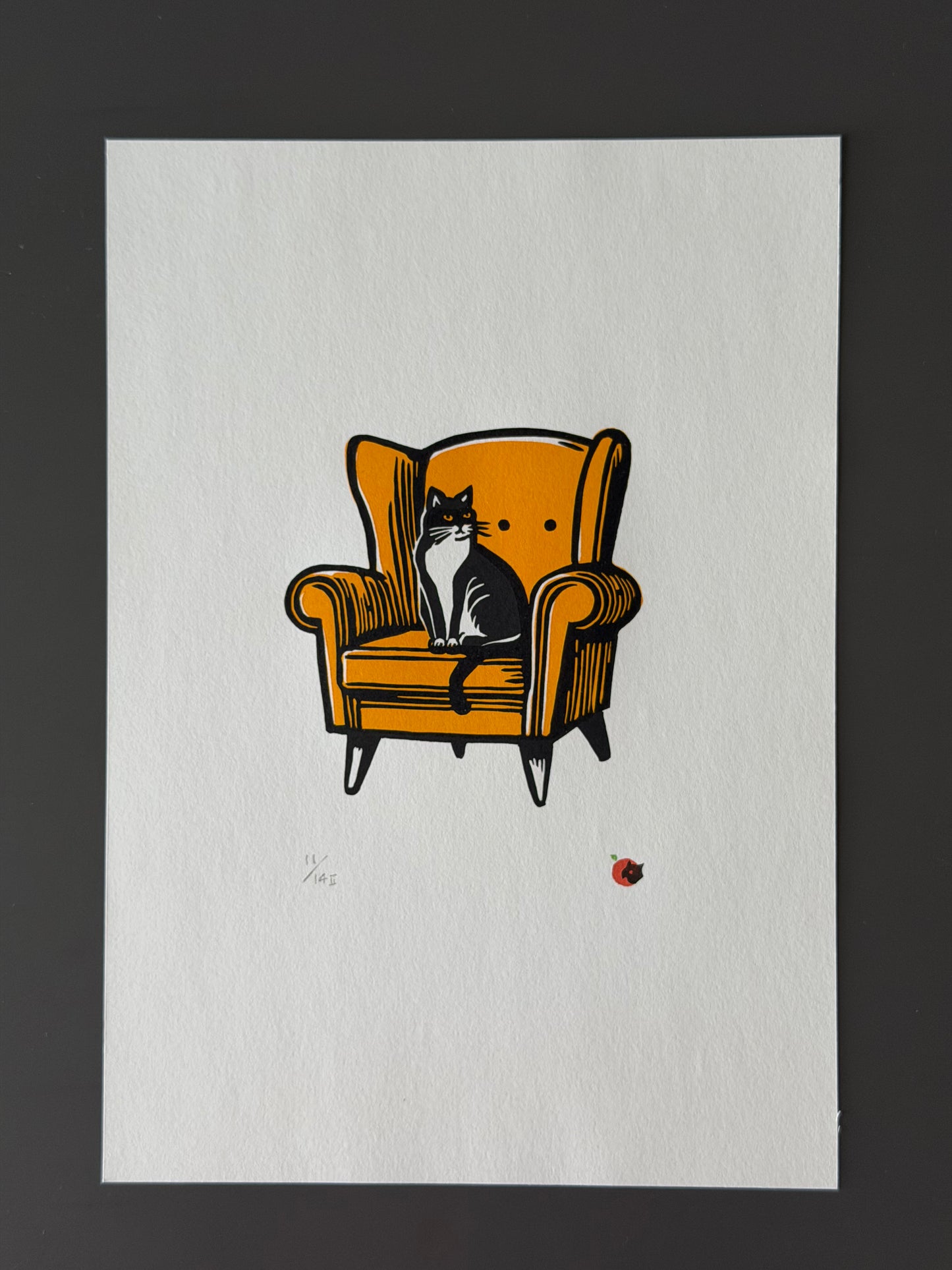 Cat on a chair