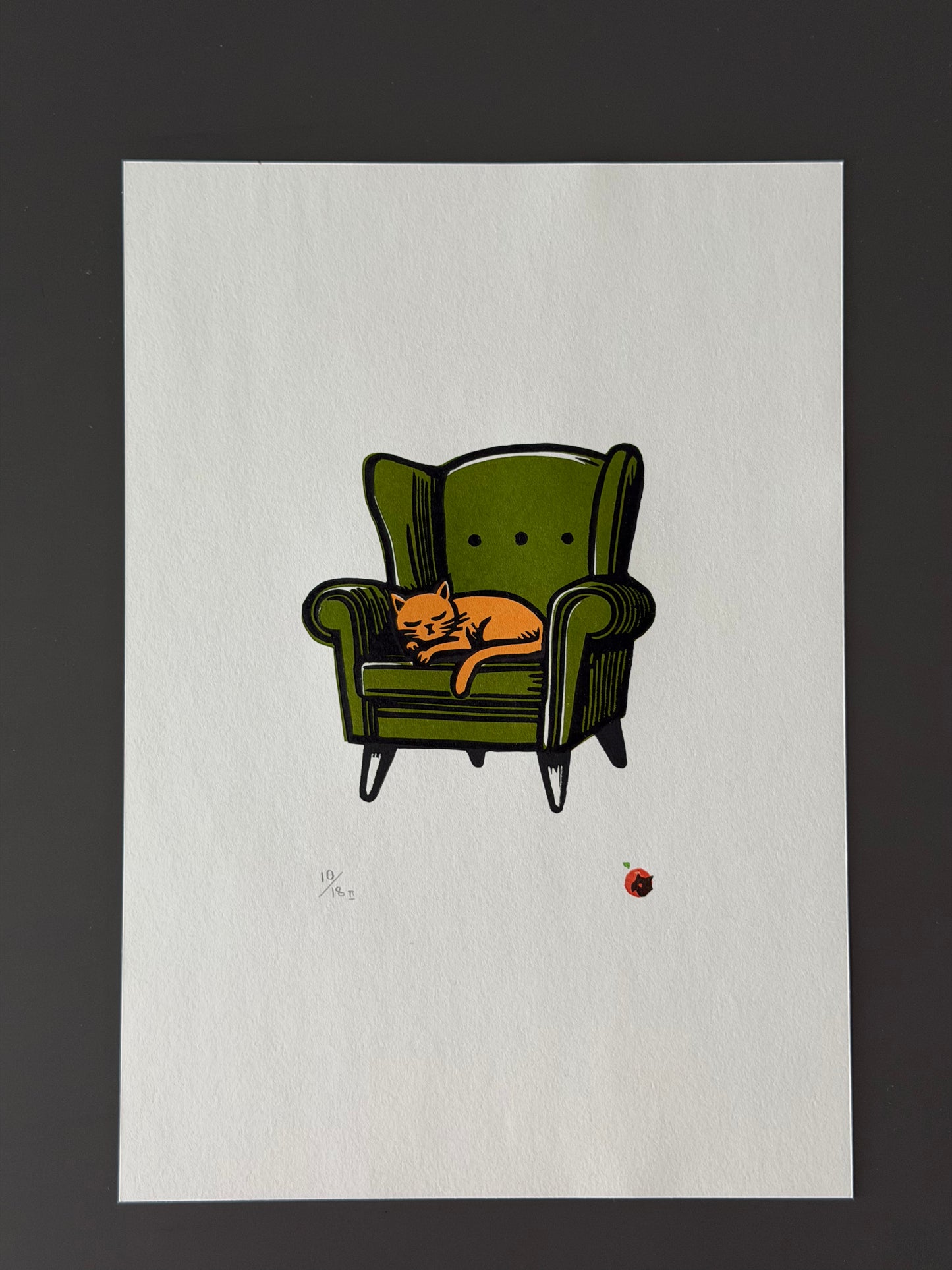 Cat on a chair