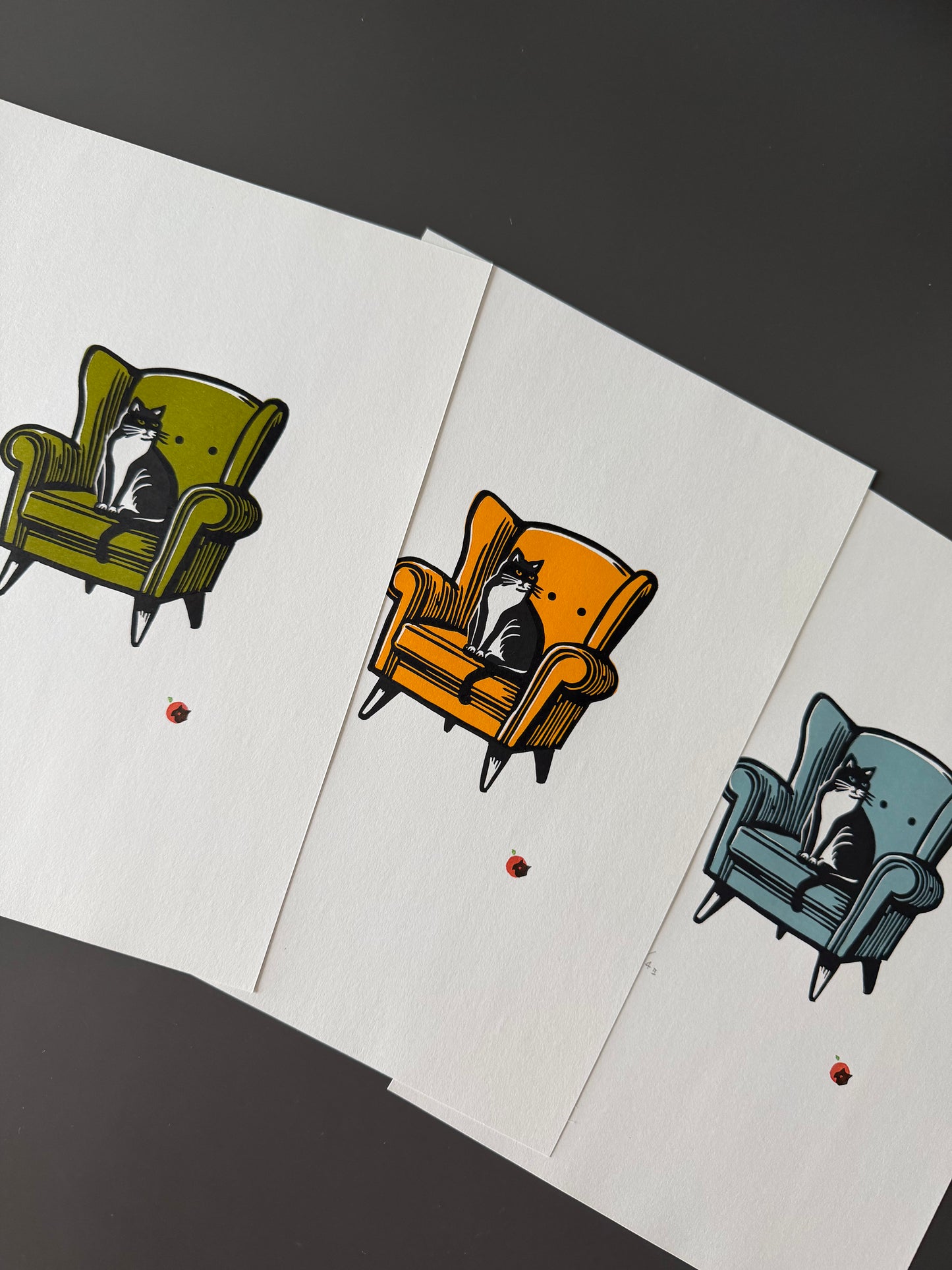 Cat on a chair