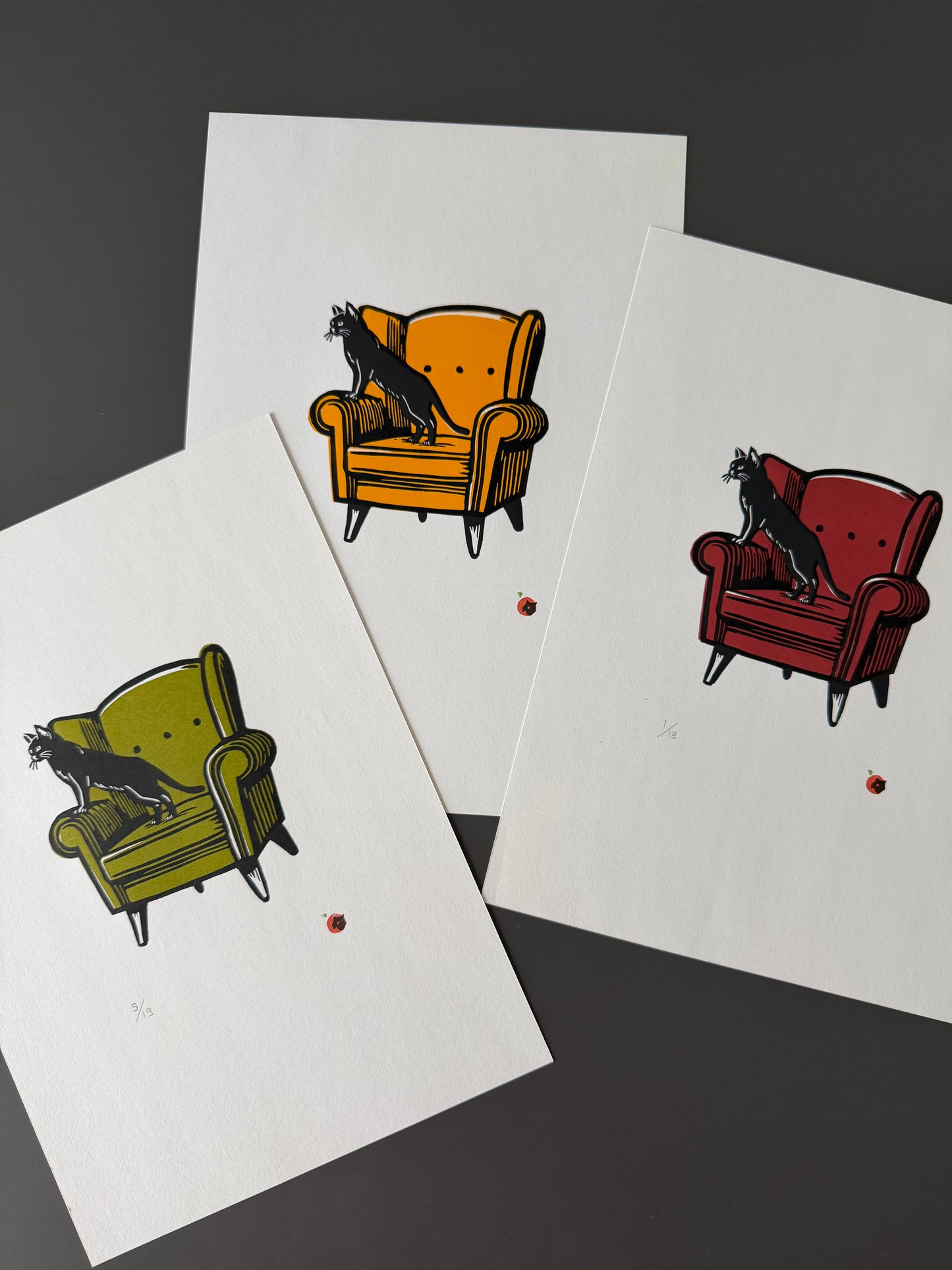 Cat on a chair