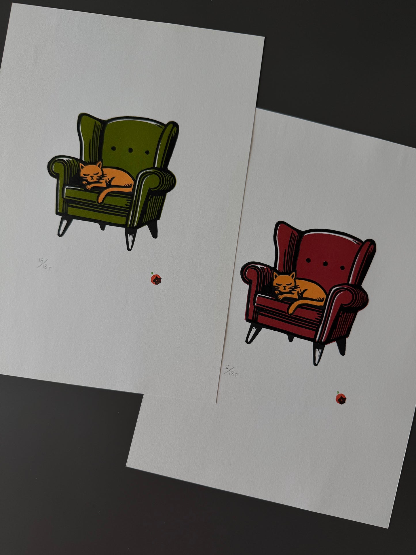Cat on a chair