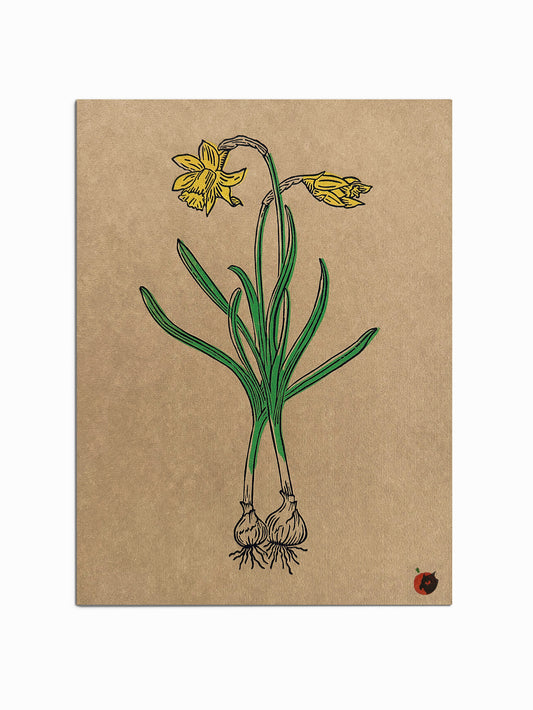 Daffodils