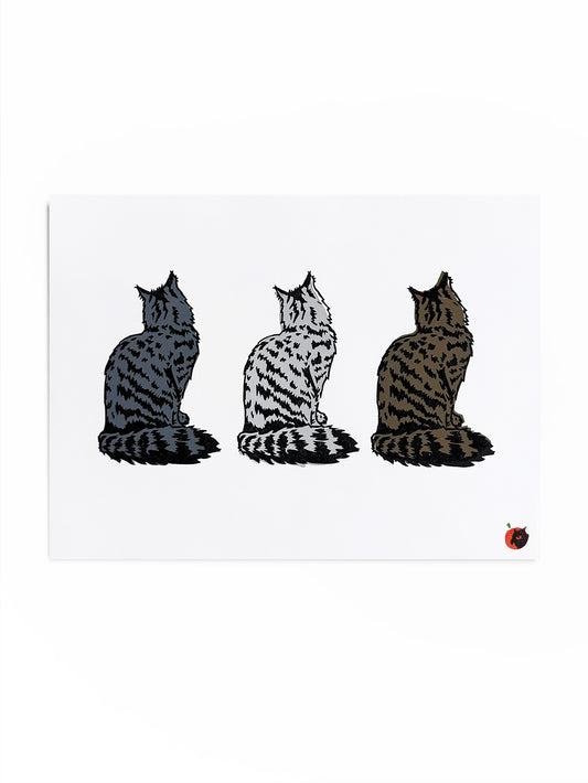 Three tabby cats